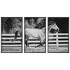 Uttermost Galloping Forward Equine Prints - Set of 3