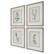 Uttermost Heirloom Blooms Study Framed Prints - Set of 4
