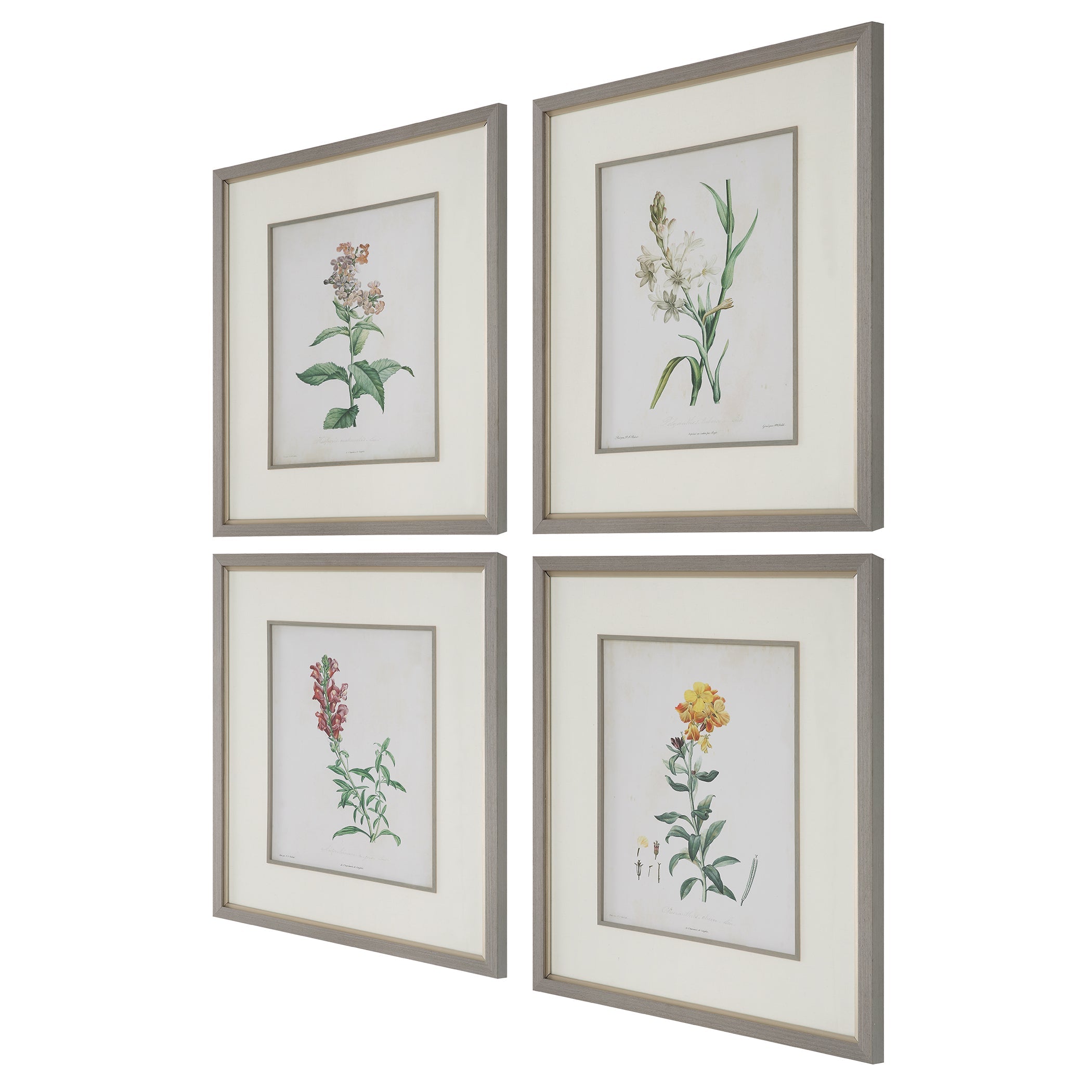 Uttermost Heirloom Blooms Study Framed Prints - Set of 4