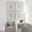 Uttermost Heirloom Blooms Study Framed Prints - Set of 4 Clearance