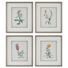 Uttermost Heirloom Blooms Study Framed Prints - Set of 4