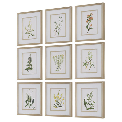 Uttermost Botanical Flowers Framed Prints - Set of 9