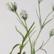 Uttermost Botanical Flowers Framed Prints - Set of 9