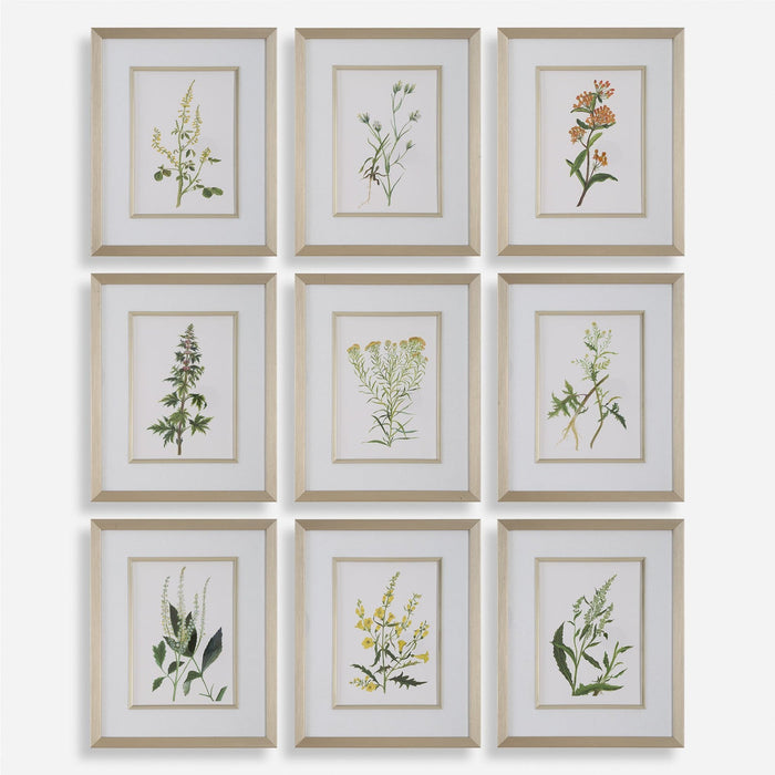 Uttermost Botanical Flowers Framed Prints - Set of 9