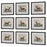 Uttermost Equine Dynasty Framed Prints - Set of 9