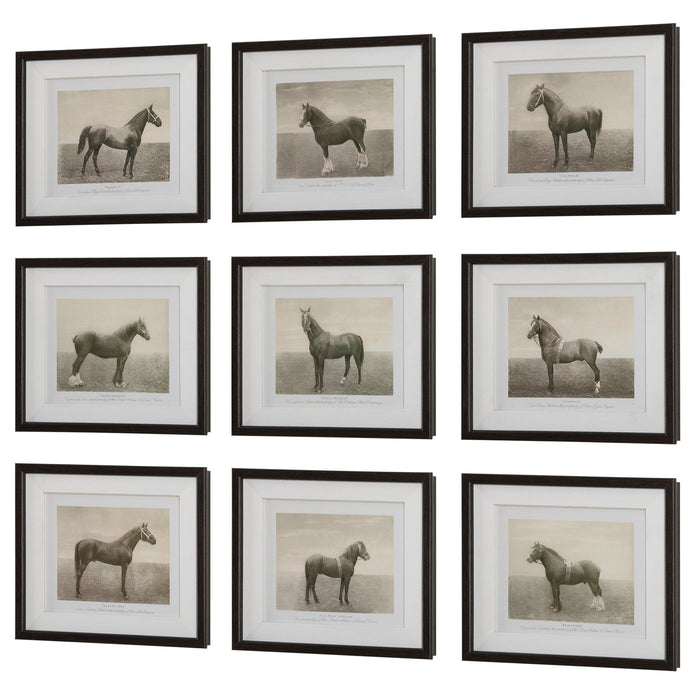 Uttermost Equine Dynasty Framed Prints - Set of 9