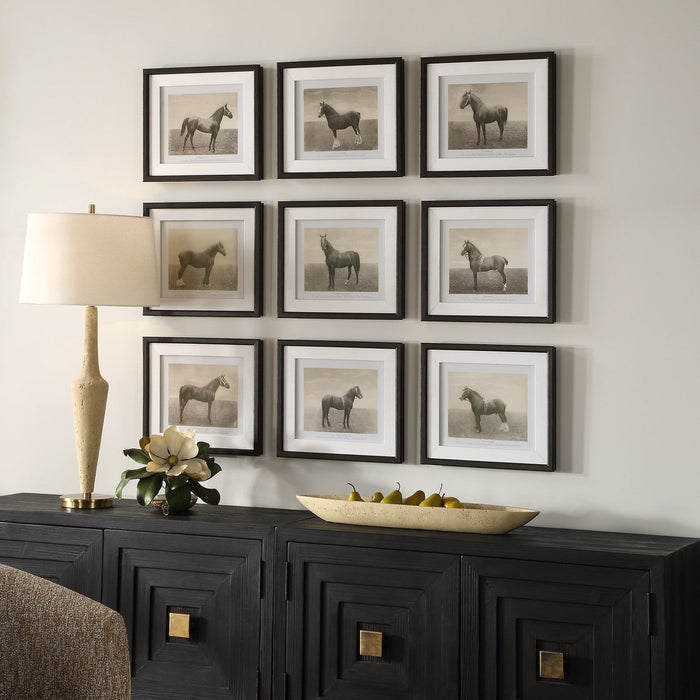 Uttermost Equine Dynasty Framed Prints - Set of 9