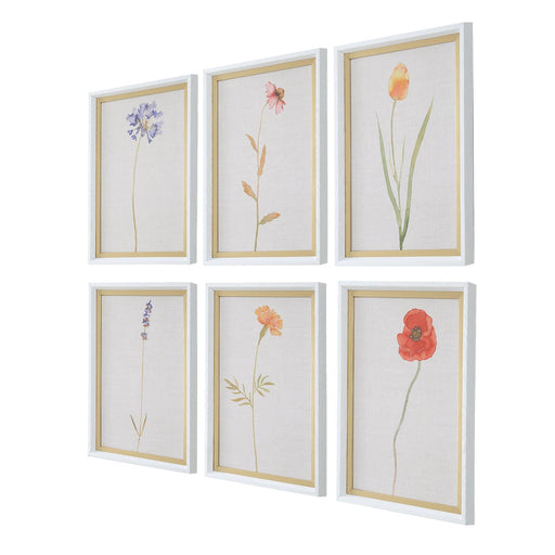Uttermost Wild Flourish Framed Floral Prints - Set of 6