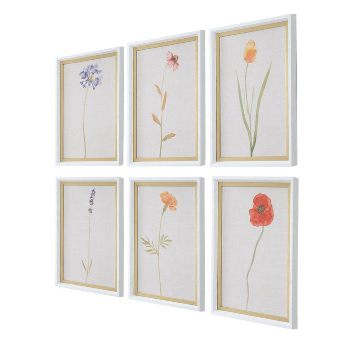 Uttermost Wild Flourish Framed Floral Prints - Set of 6