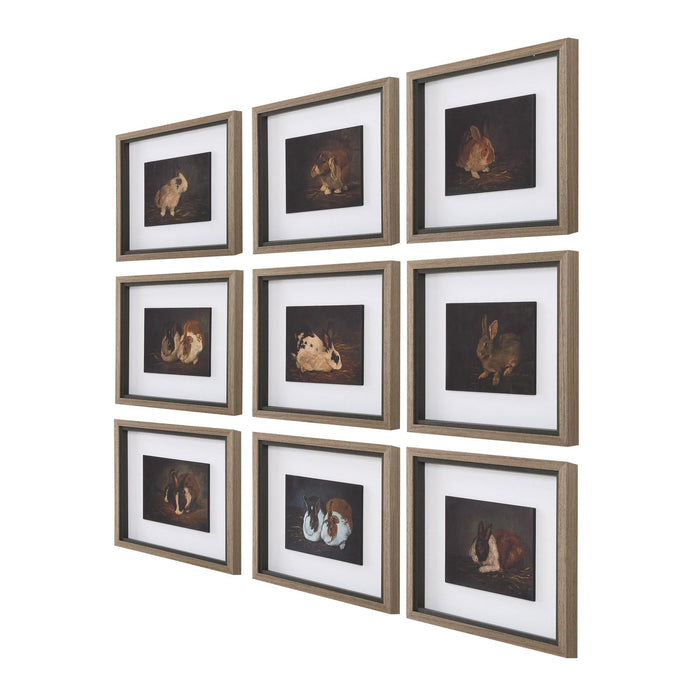 Uttermost Resting Bunny Framed Prints - Set of 9