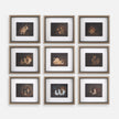 Uttermost Resting Bunny Framed Prints - Set of 9