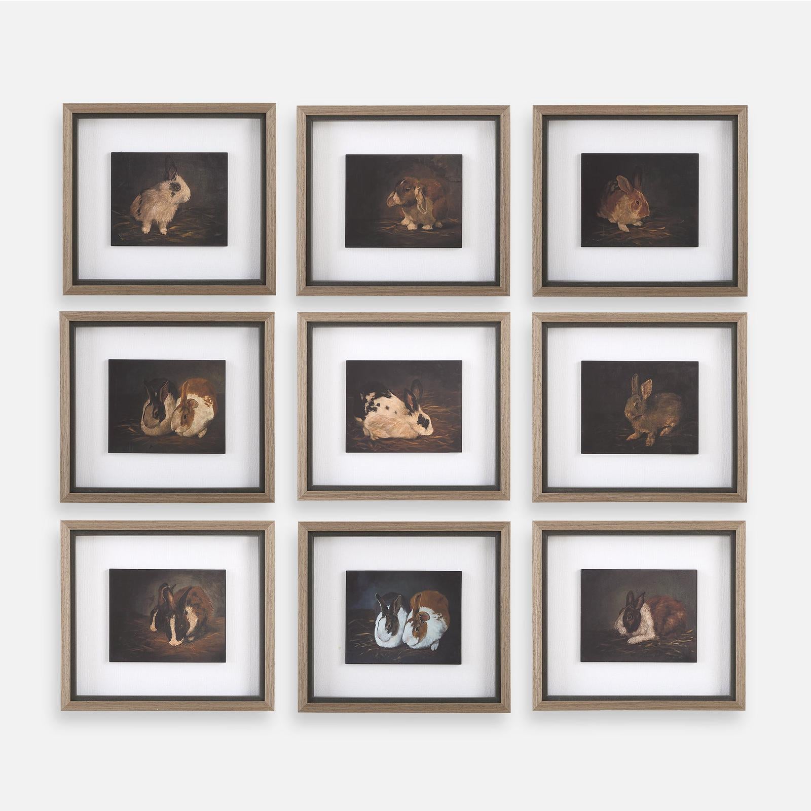Uttermost Resting Bunny Framed Prints - Set of 9