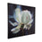 Uttermost Peony Framed Floral Art