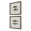 Uttermost The Catch Framed Fish Prints - Set of 2