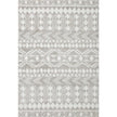 Loloi II Bliss Shag BLS-05 Grey / White Rug