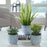 Uttermost Puebla Greenery In Blue & White Pots - Set of 3