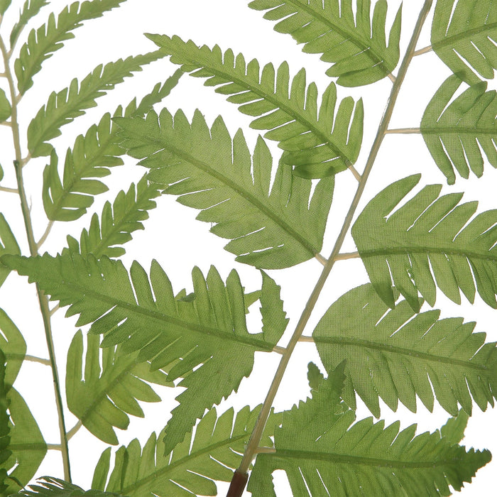 Uttermost Country Ferns - Set of 2