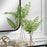 Uttermost Country Ferns - Set of 2