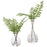Uttermost Country Ferns - Set of 2