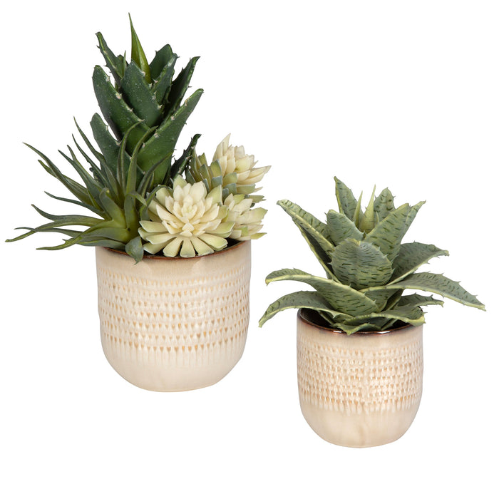 Uttermost Seaside Succulents - Set of 2