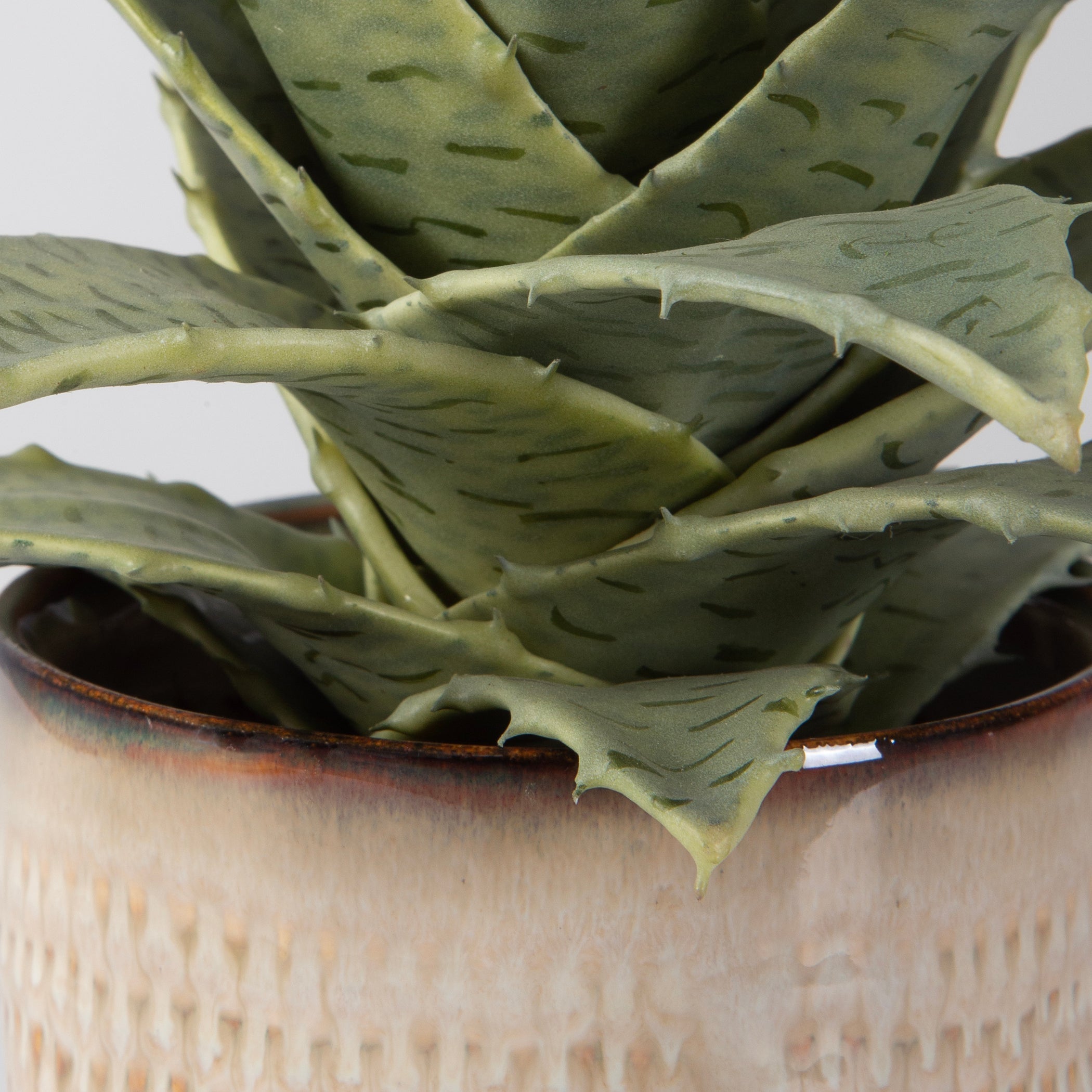 Uttermost Seaside Succulents - Set of 2
