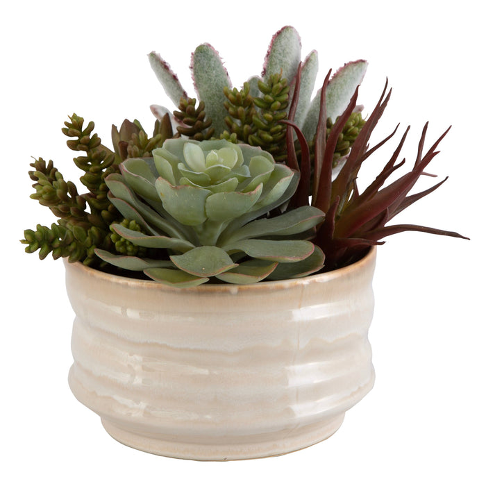 Uttermost Mesa Succulent Accent