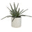 Uttermost Taos Aloe Centerpiece