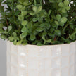 Uttermost Edgewood Greenery - Set of 2