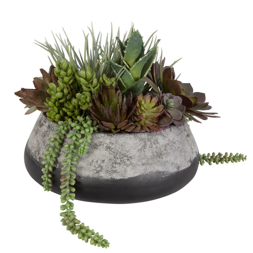 Uttermost Gobi Succulent Centerpiece