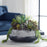Uttermost Gobi Succulent Centerpiece