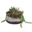Uttermost Gobi Succulent Centerpiece