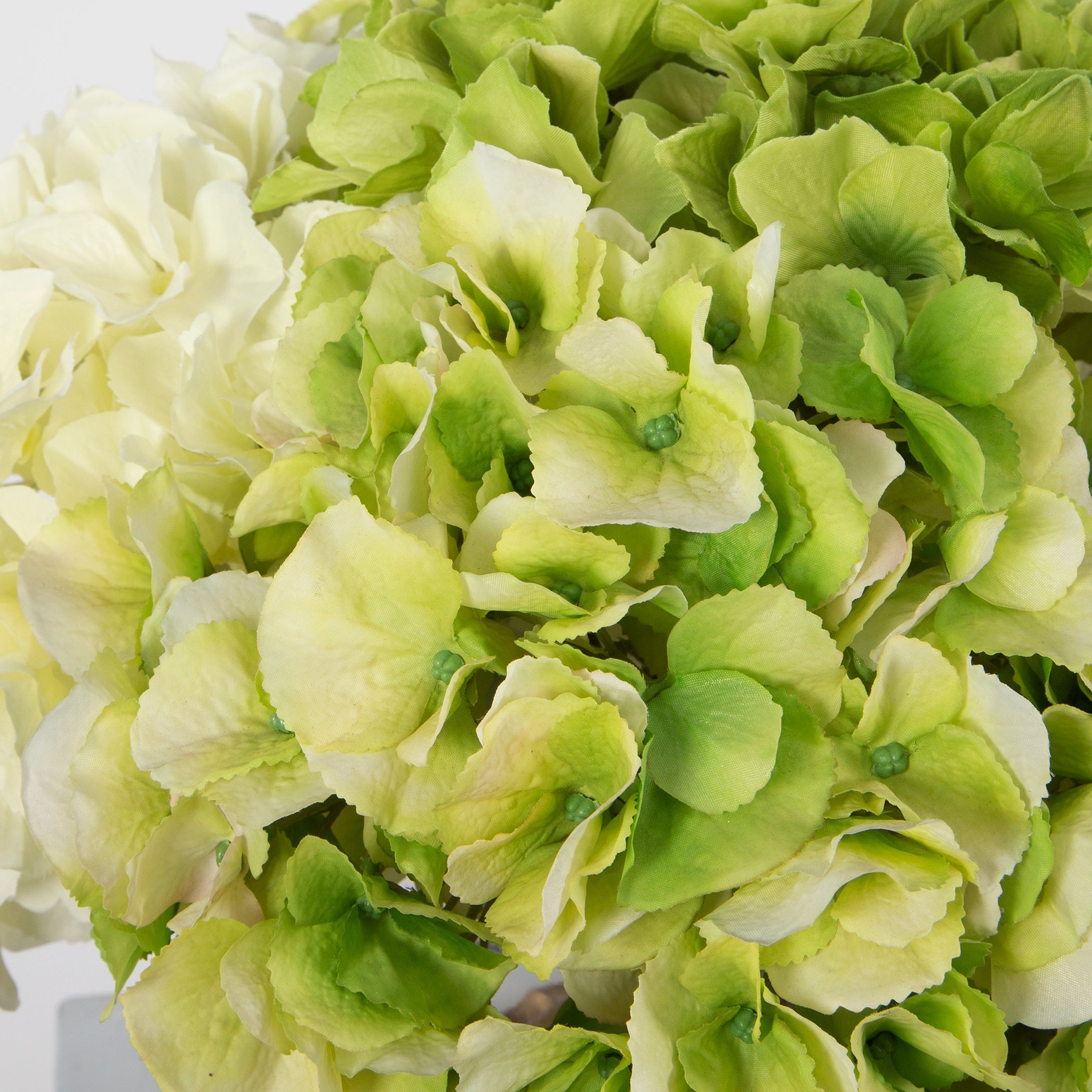 Uttermost Savannah Bouquet