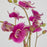 Uttermost Glory Fuchsia Orchid