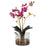 Uttermost Glory Fuchsia Orchid