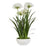 Uttermost Purity Agapanthus Centerpiece