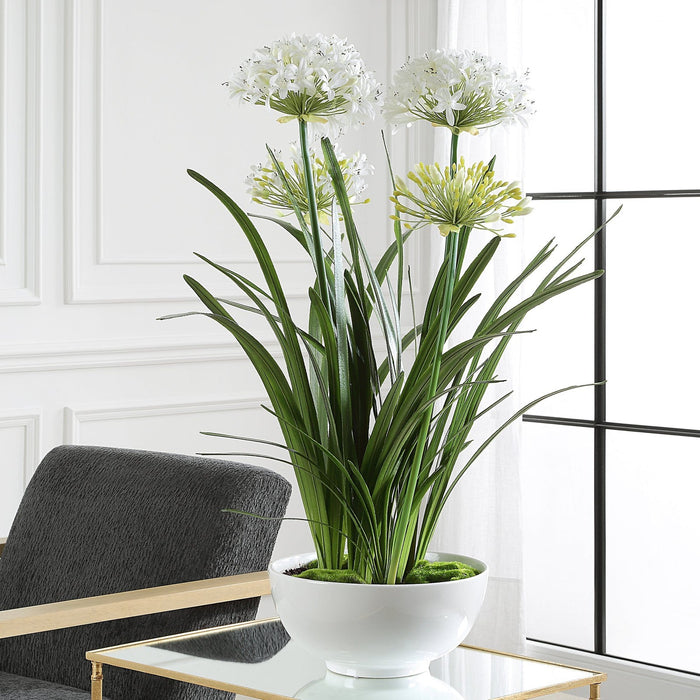 Uttermost Purity Agapanthus Centerpiece