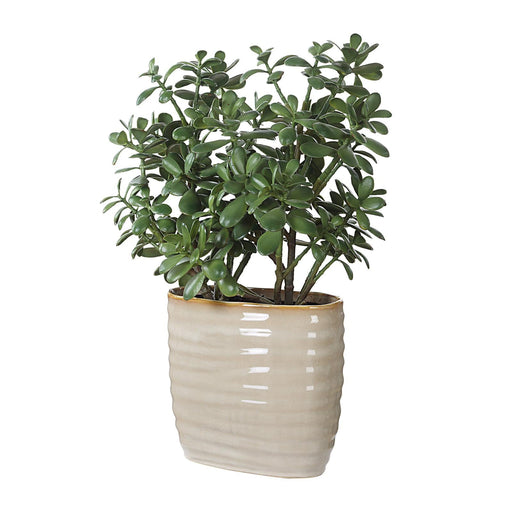 Uttermost Crassula Jade Accent Plant