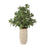 Uttermost Crassula Jade Accent Plant