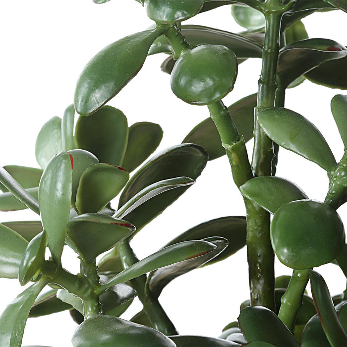 Uttermost Crassula Jade Accent Plant