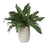 Uttermost Verdure Fern In Glazed Pot