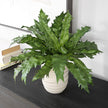 Uttermost Verdure Fern In Glazed Pot