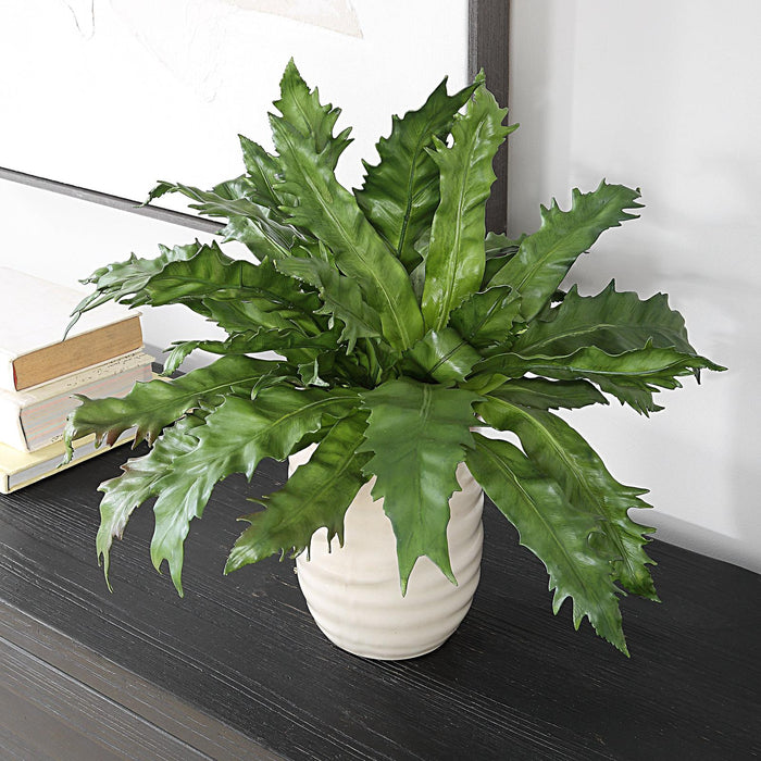 Uttermost Verdure Fern In Glazed Pot