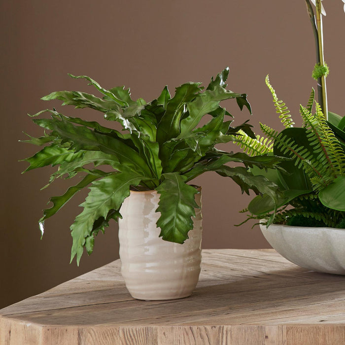 Uttermost Verdure Fern In Glazed Pot