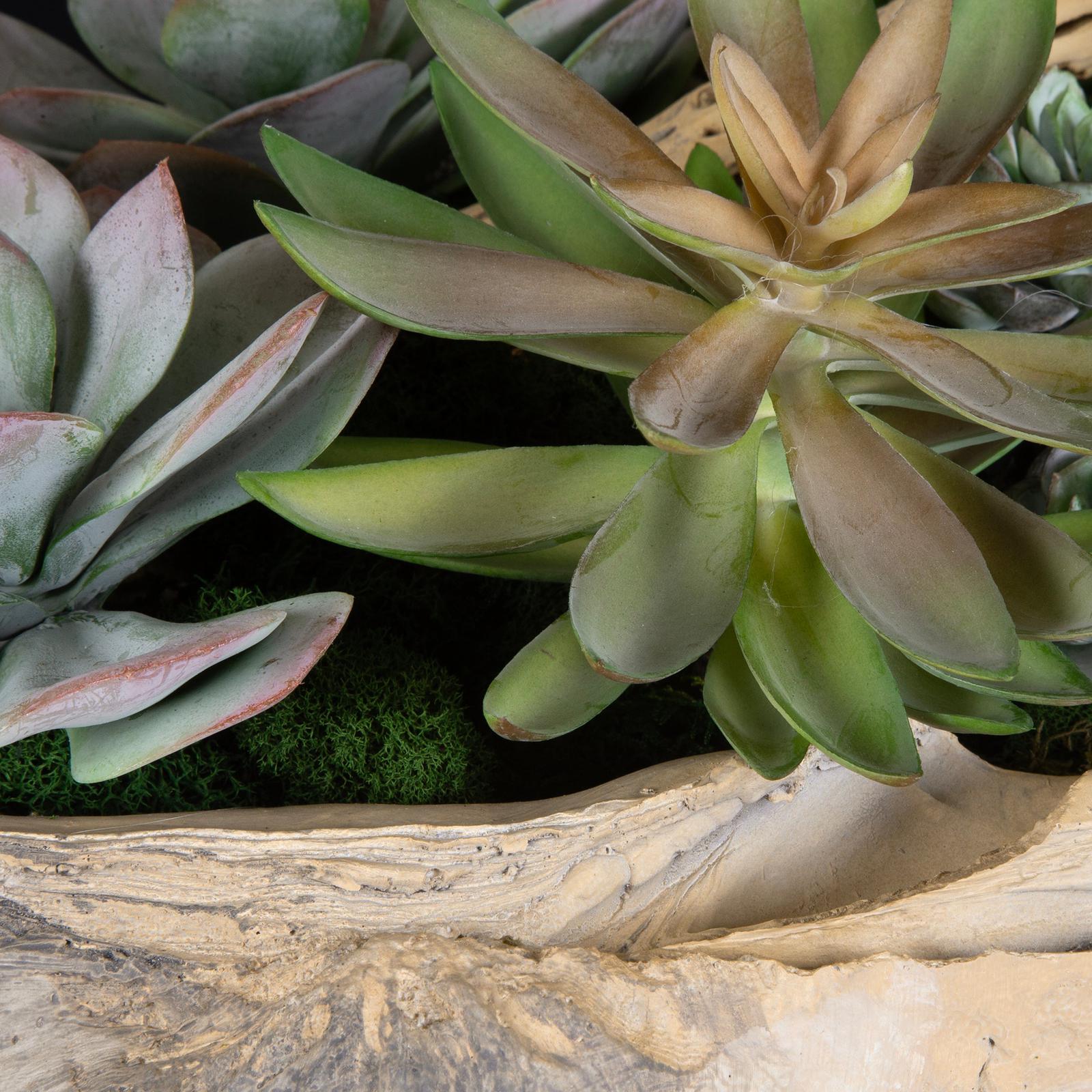 Uttermost Seaside Breeze Succulents