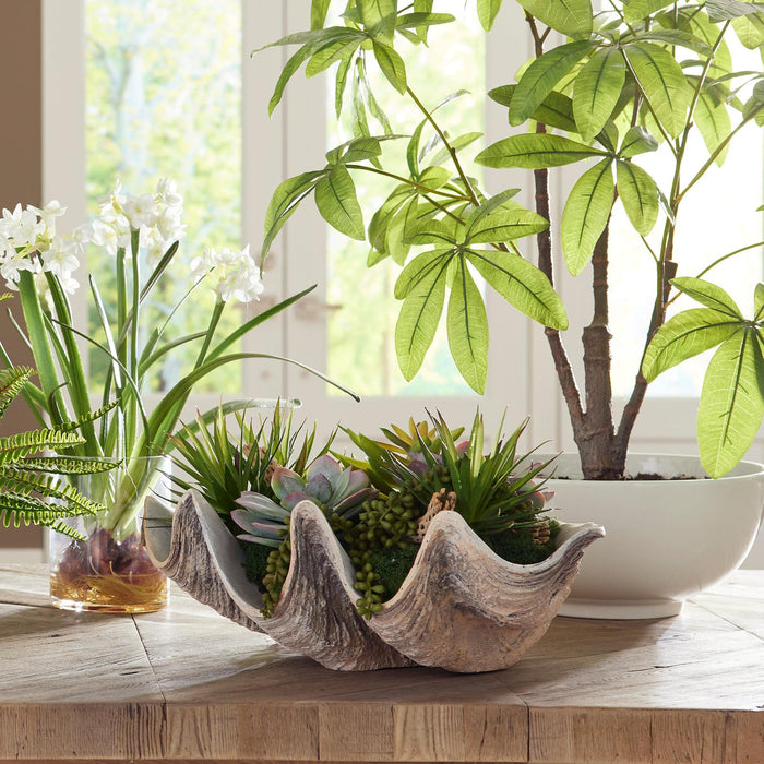 Uttermost Seaside Breeze Succulents