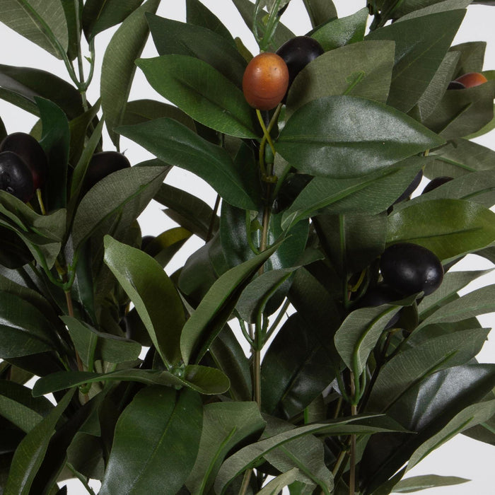 Uttermost Ele Olive Centerpiece