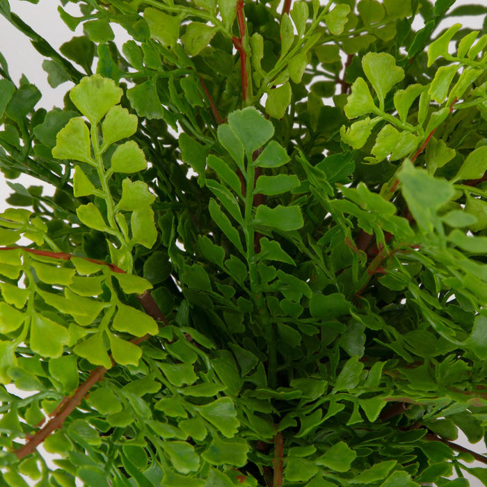 Uttermost Maidenhair Fern In Oxidized Container