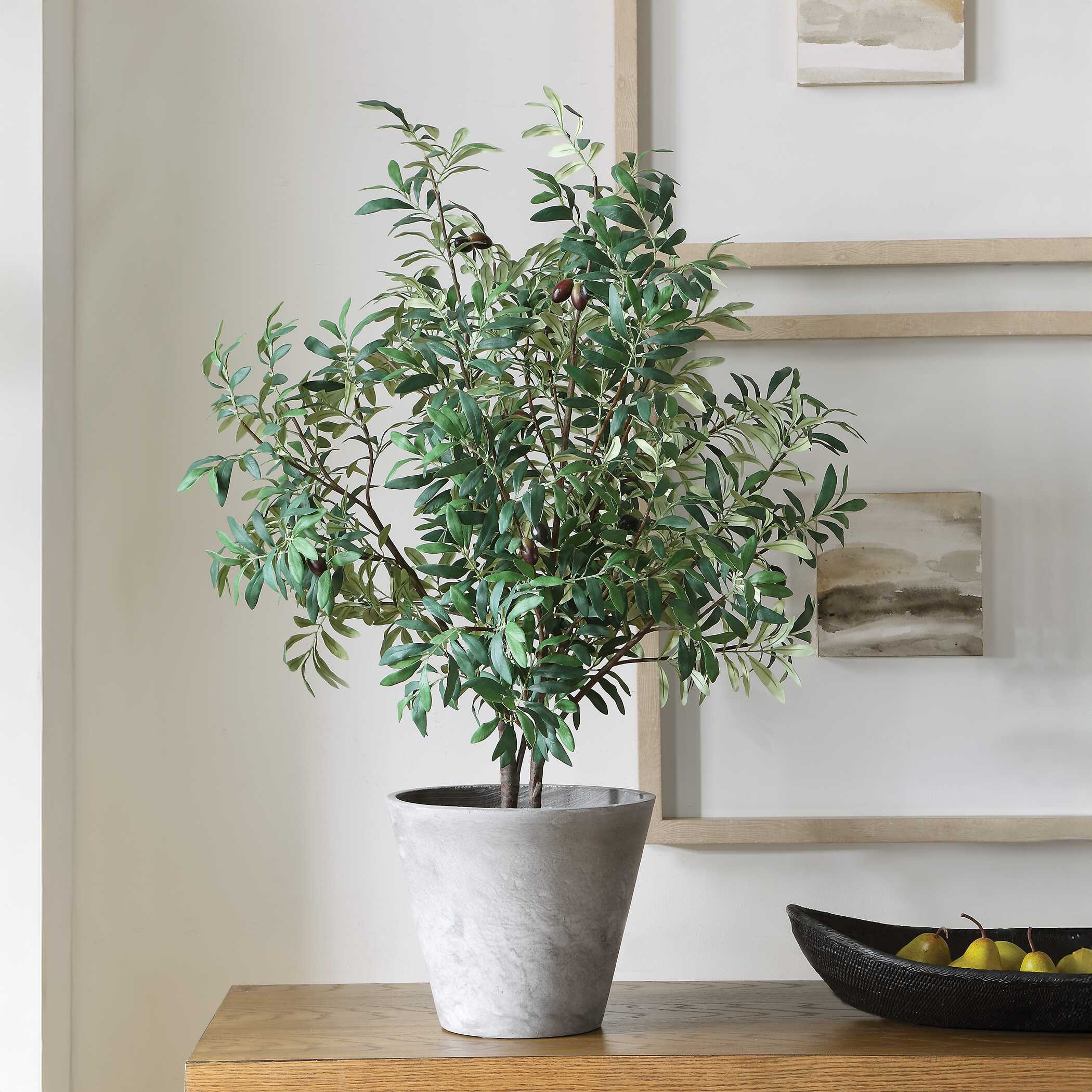 Uttermost Marisol Potted Olive Plant