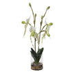 Uttermost Lady Slipper Orchid In Glass Vase