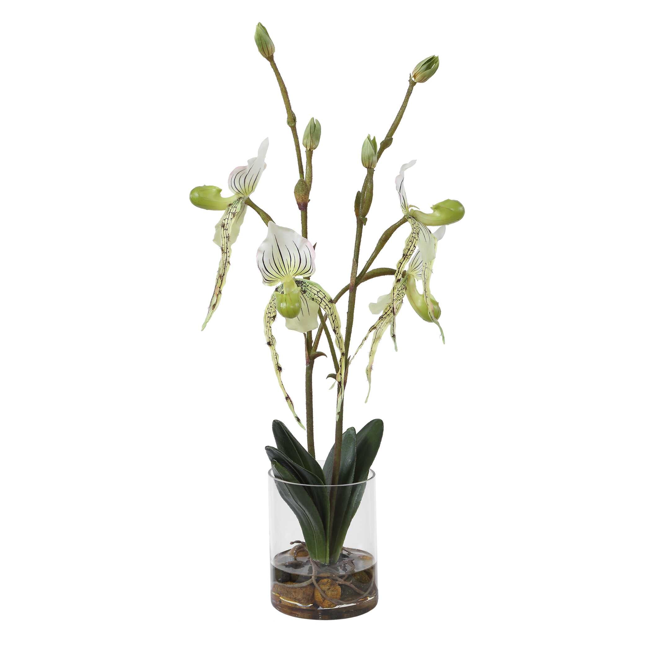 Uttermost Lady Slipper Orchid In Glass Vase